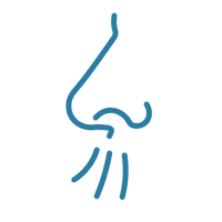 Unterstützt freieres Atmen bei verstopfter Nase